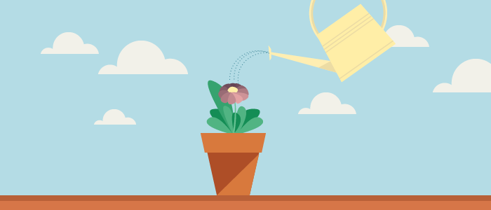 Qué es el Lead Nurturing